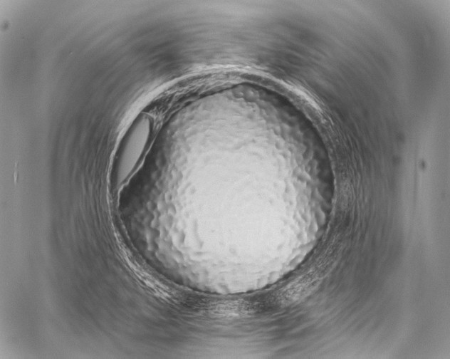 X0000058811279200510171525