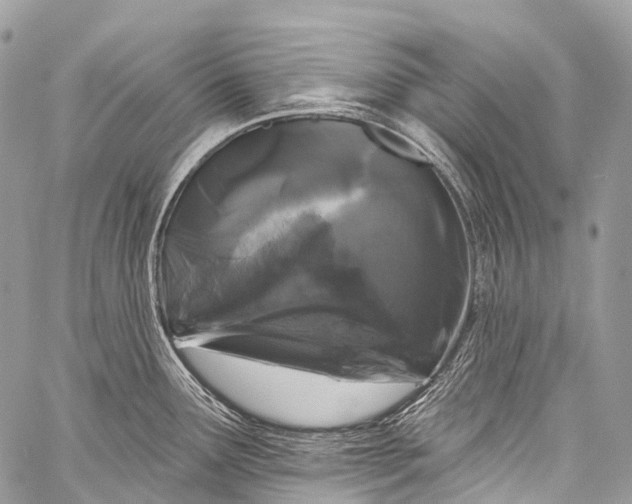 X0000058811291200510171525