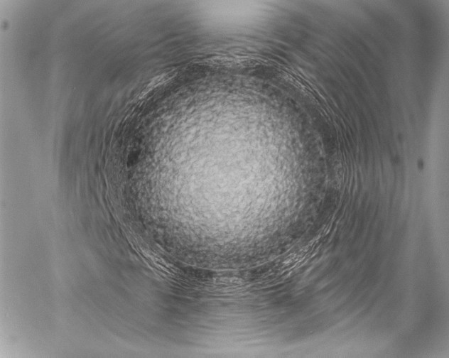 X0000058811297200510171524