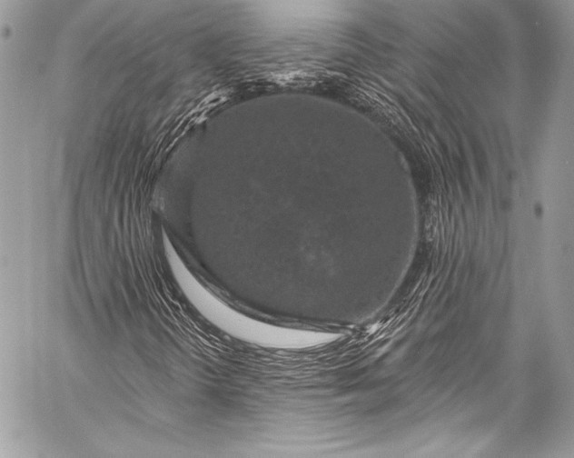 X0000058811298200510171524