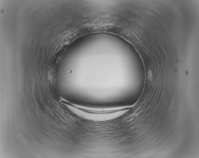 X0000058811300200510171524