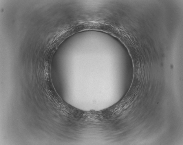 X0000058811301200510171524