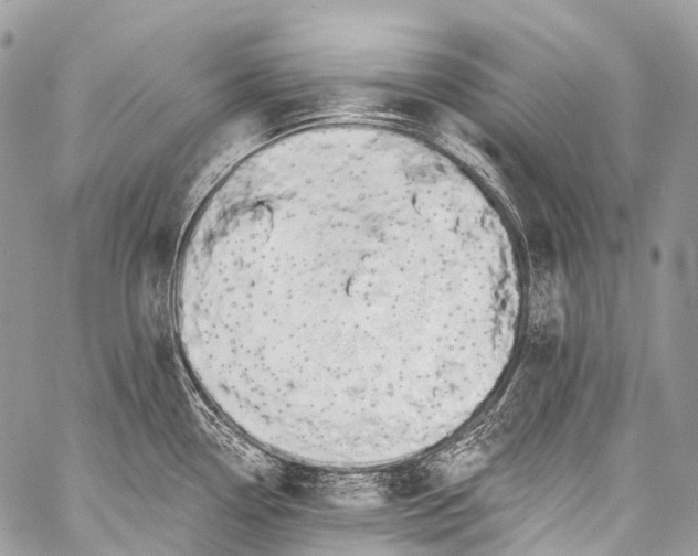 X0000058811338200510171525