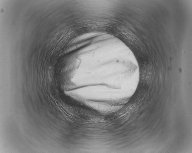 X0000058811346200510171524