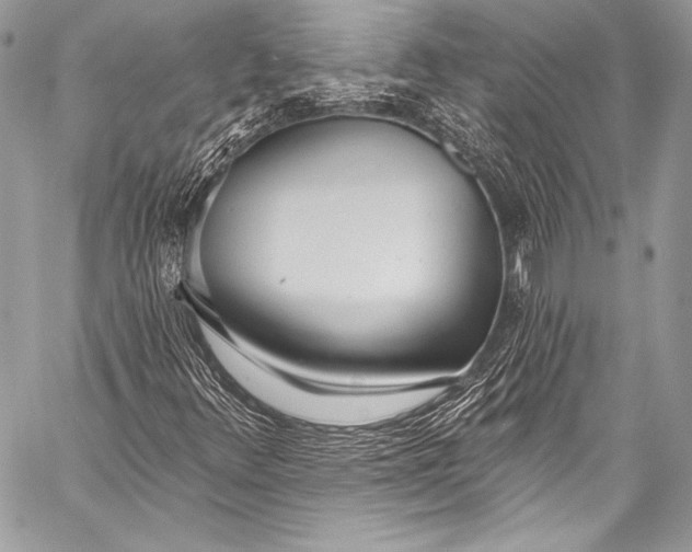 X0000058811348200510171524