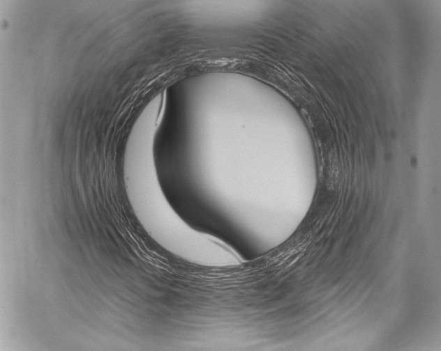 X0000058811394200510171522