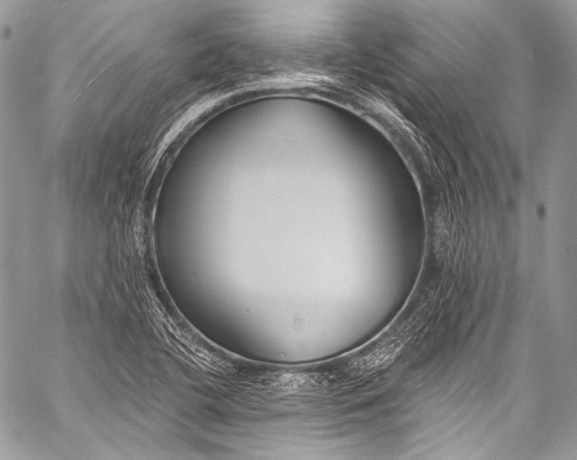 X0000058811412200510171523