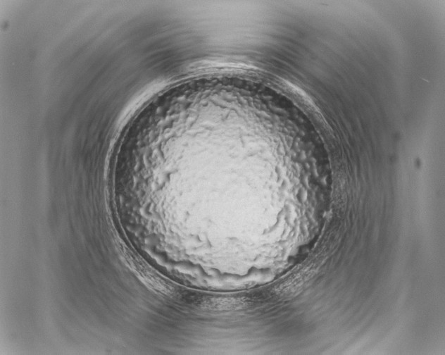 X0000058811427200510171523