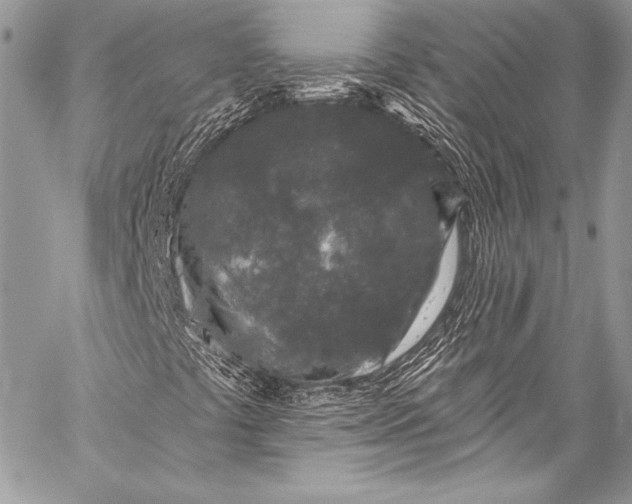 X0000058811441200510171522