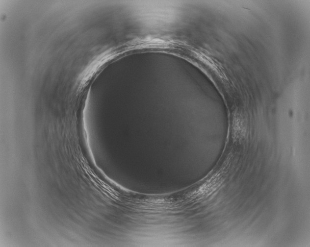 X0000058811455200510171522