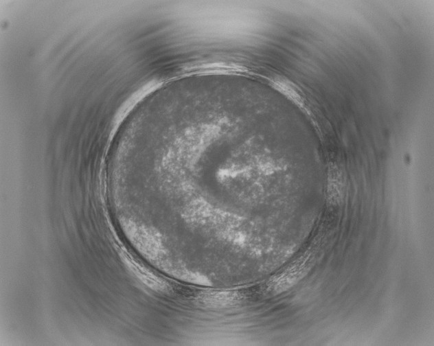 X0000058811474200510171522