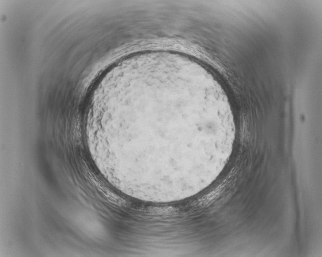 X0000058811498200510171521