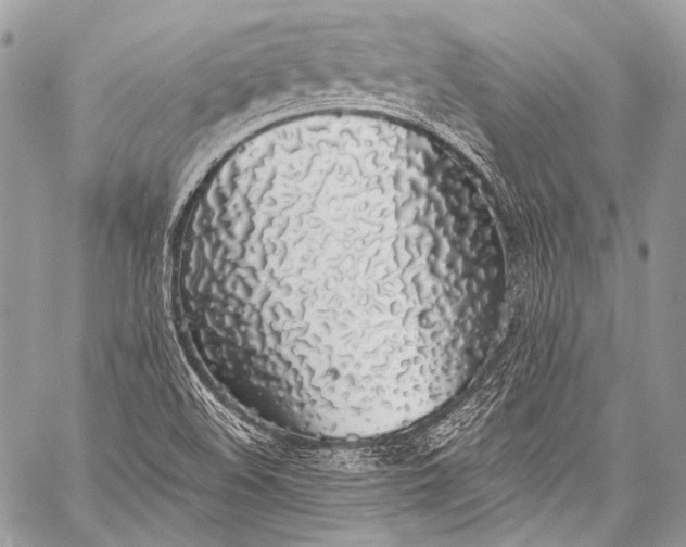 X0000058811508200510171521