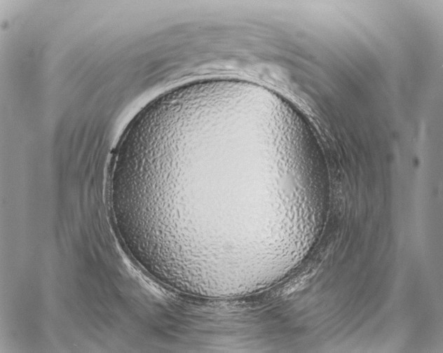 X0000058811527200510171521