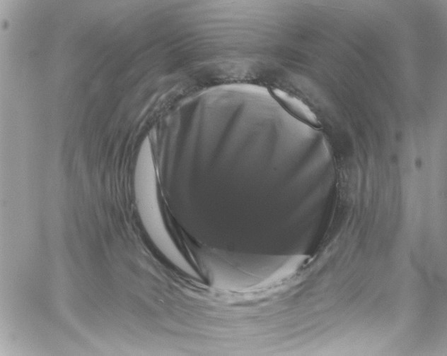 X0000058810035200510211915