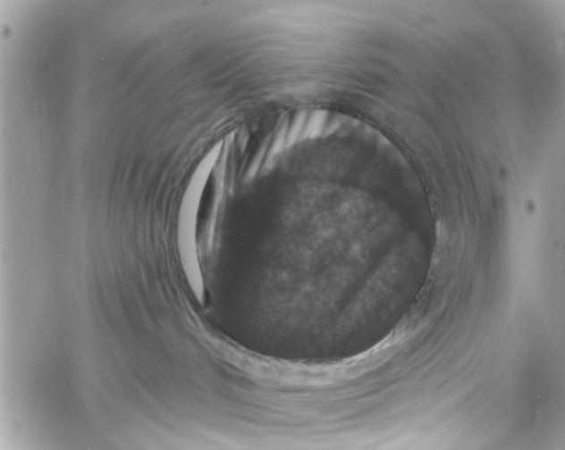 X0000058810048200510211915