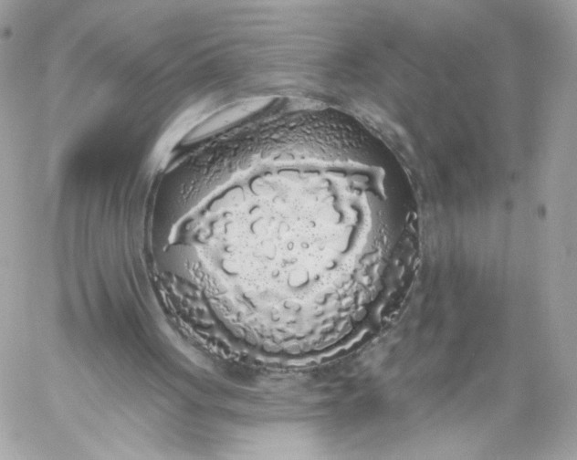 X0000058810051200510211914
