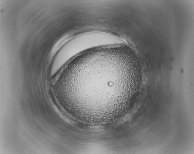 X0000058810053200510211914