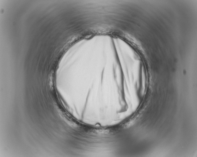 X0000058810065200510211915