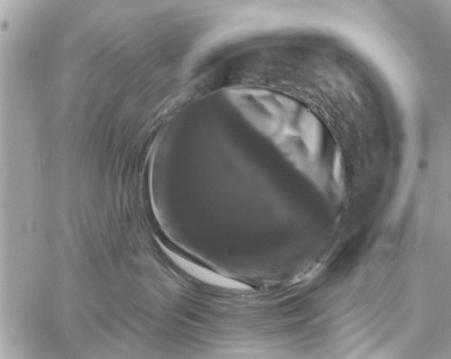 X0000058810143200510211914