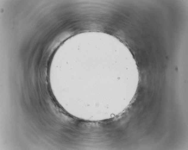 X0000058810146200510211913