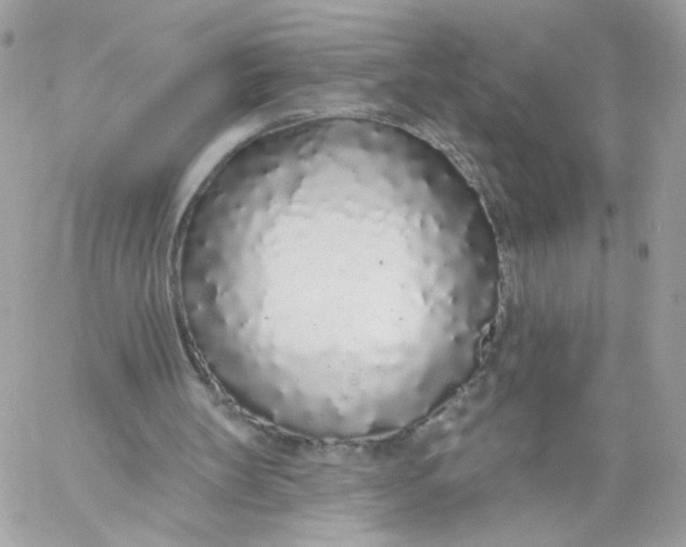 X0000058810147200510211913