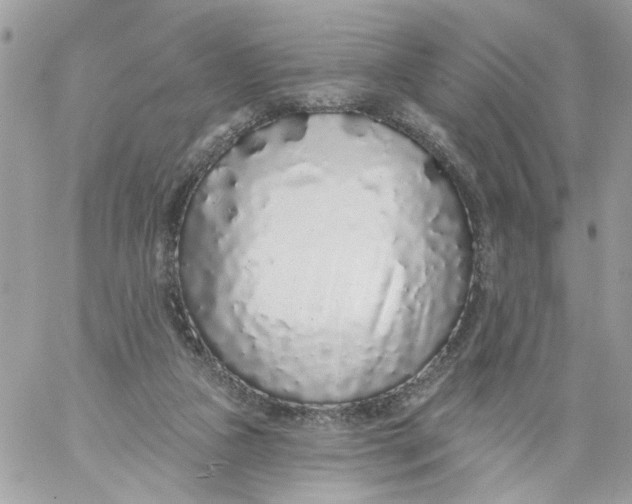 X0000058810161200510211913