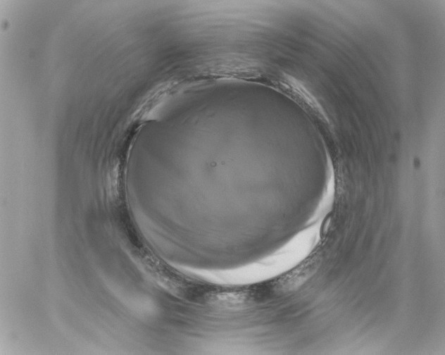X0000058810163200510211913