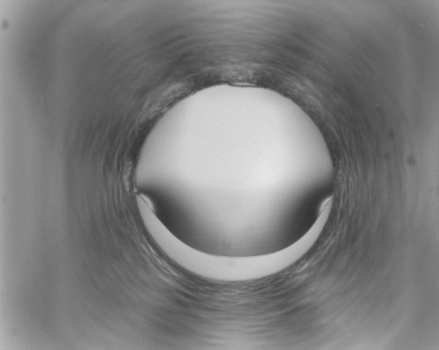 X0000058810185200510211913