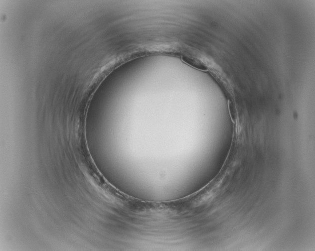 X0000058810201200510211913
