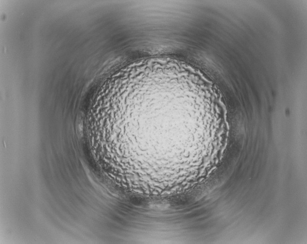 X0000058810214200510211912