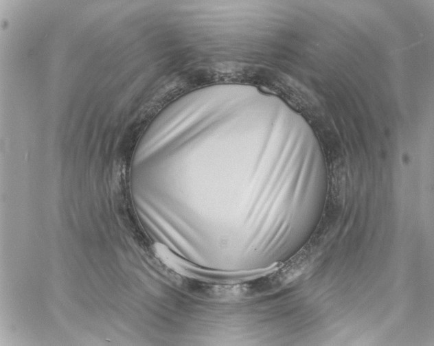 X0000058810225200510211912