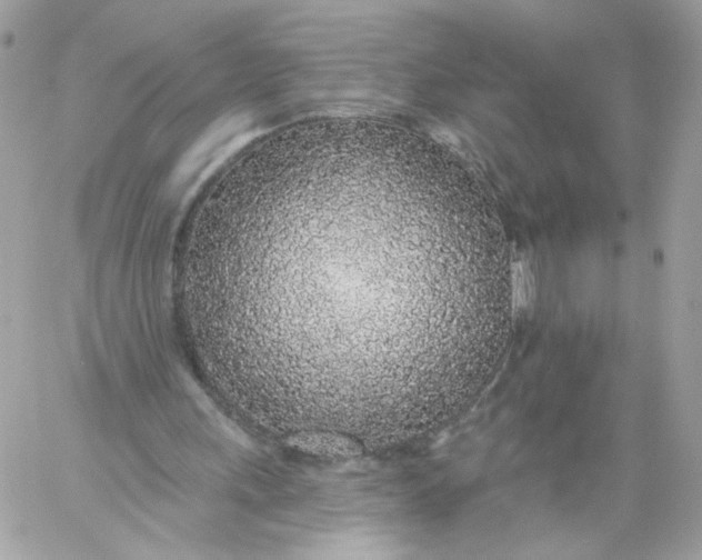 X0000058810243200510211911