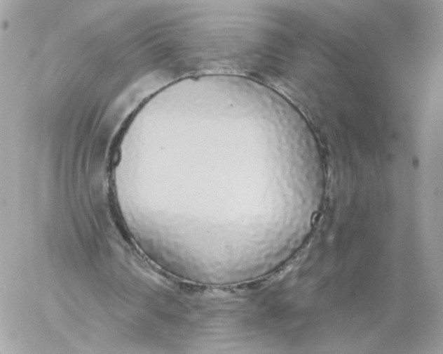 X0000058810290200510211911