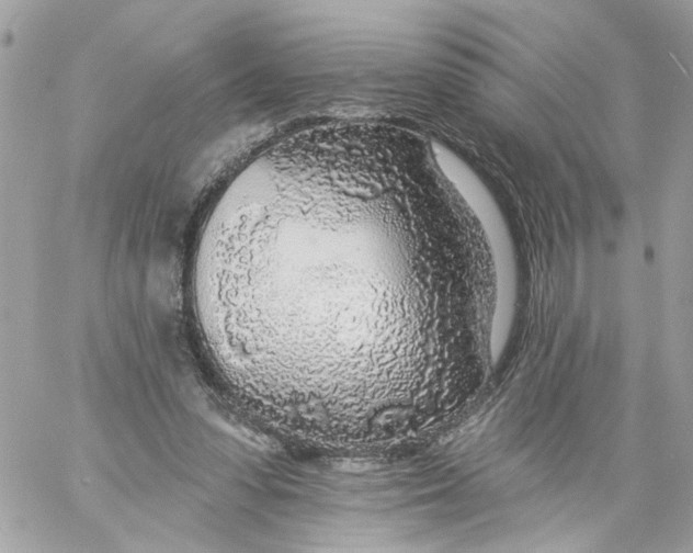 X0000058810303200510211911