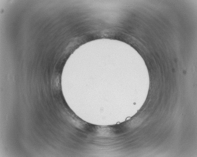 X0000058810336200510211910