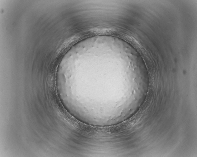 X0000058810357200510211910