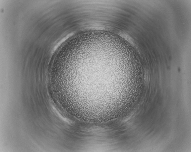 X0000058810390200510211909