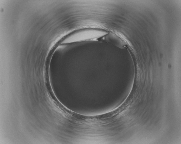 X0000058810391200510211909
