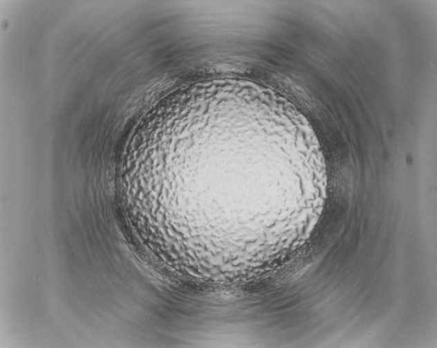 X0000058810402200510211909