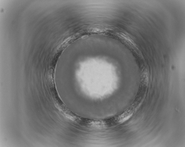X0000058810415200510211909