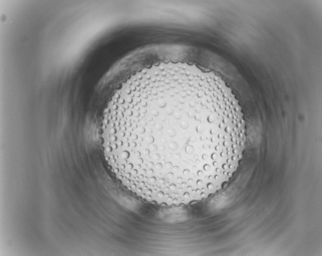 X0000058810431200510211909