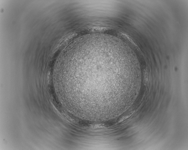 X0000058810451200510211908