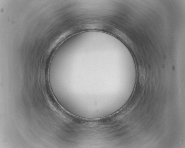 X0000058810482200510211908