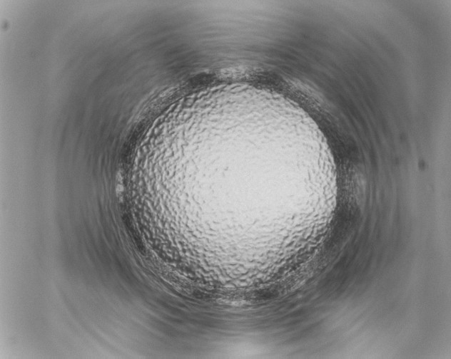 X0000058810502200510211908