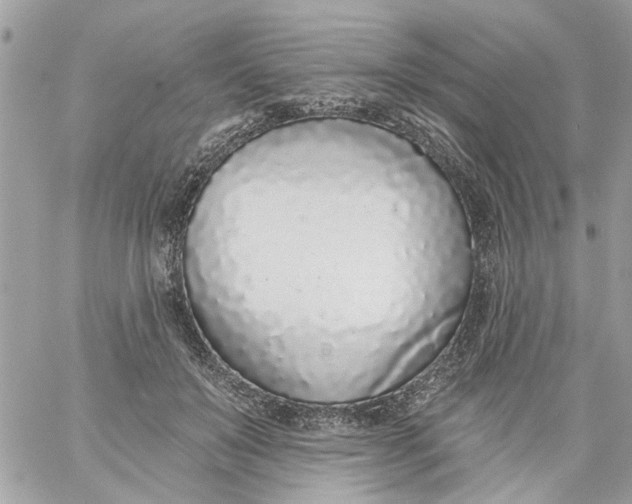 X0000058810503200510211908