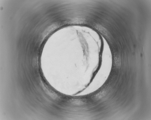 X0000058810534200510211906