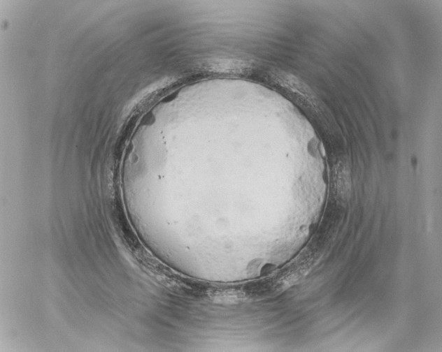 X0000058810587200510211906