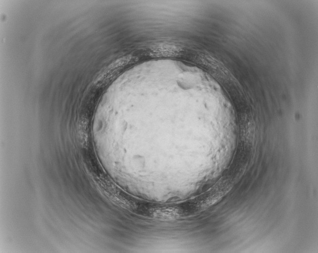 X0000058810599200510211906