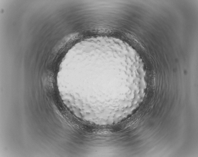 X0000058810643200510211905